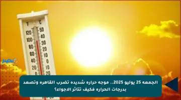 الجمعة 25 يوليو 2025.. موجة حرارة شديدة تضرب القاهرة وتصعد بدرجات الحرارة فكيف تتأثر الأجواء؟